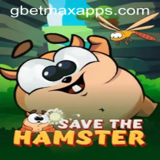 The Innovative World of SavetheHamster: A Deep Dive Into Gameplay and Mechanics